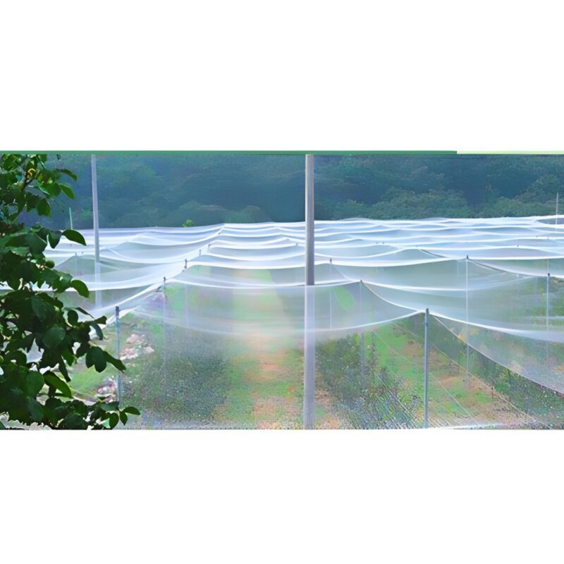 Anti-Bird Protection Net - Image 2