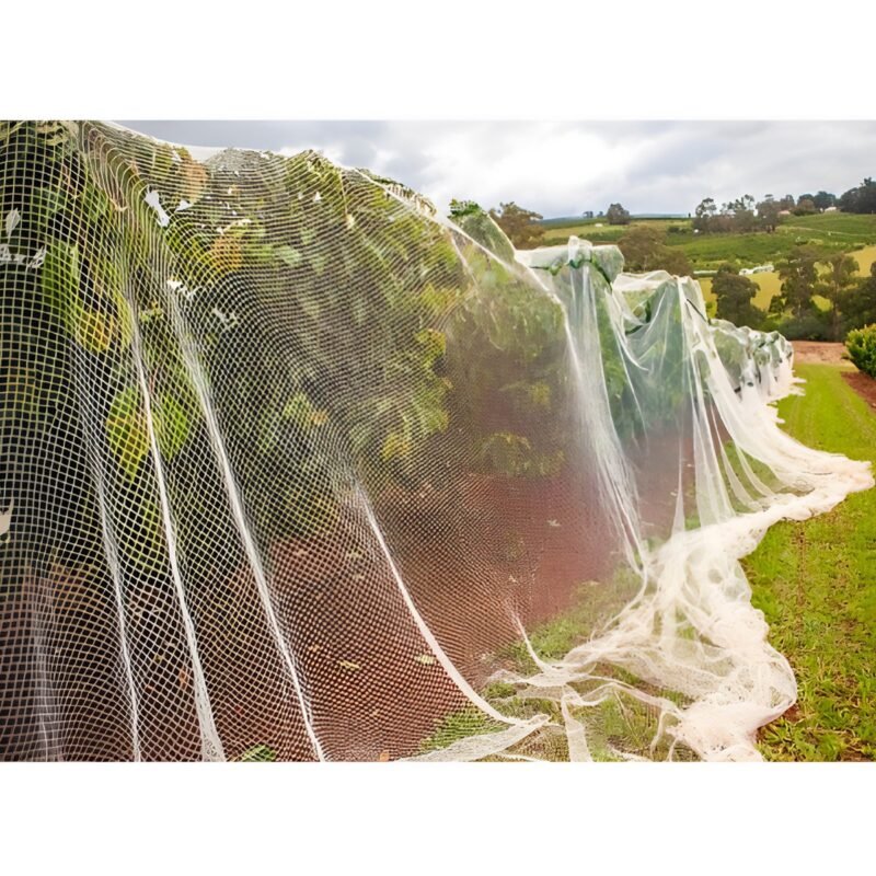 Anti-Bird Protection Net - Image 3