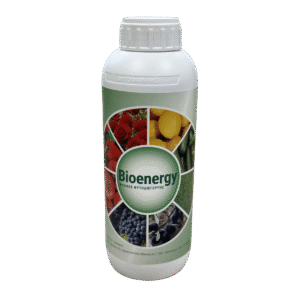 Bioenergy (1LT)