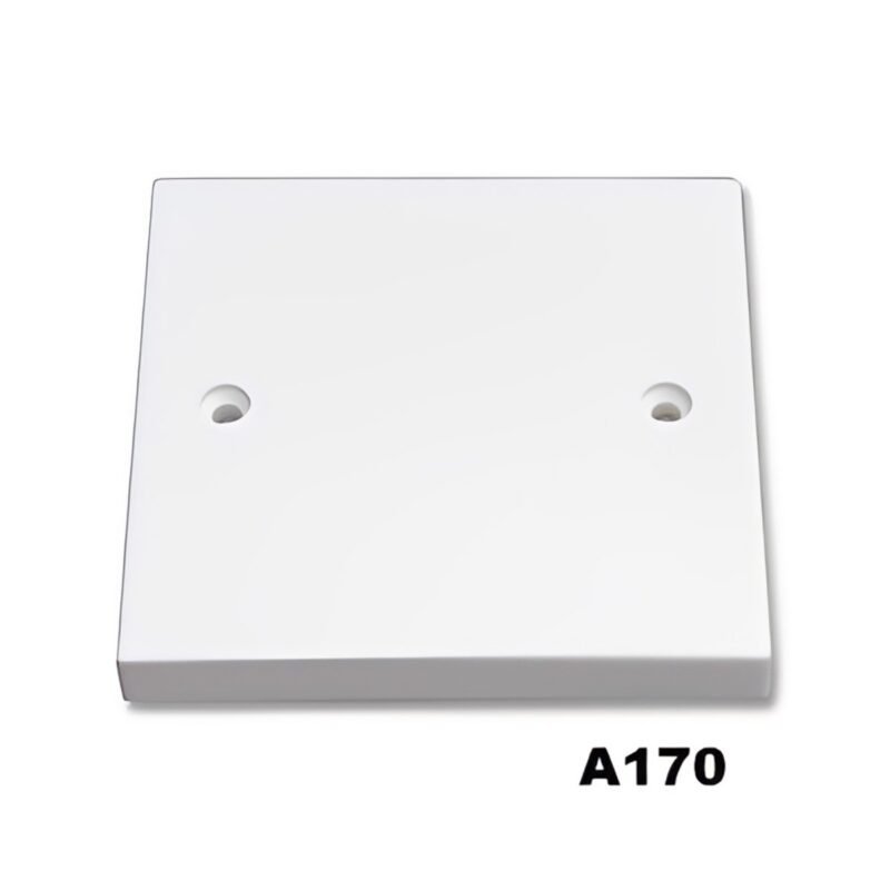 BLANK PLATE EUROPOWER 1G