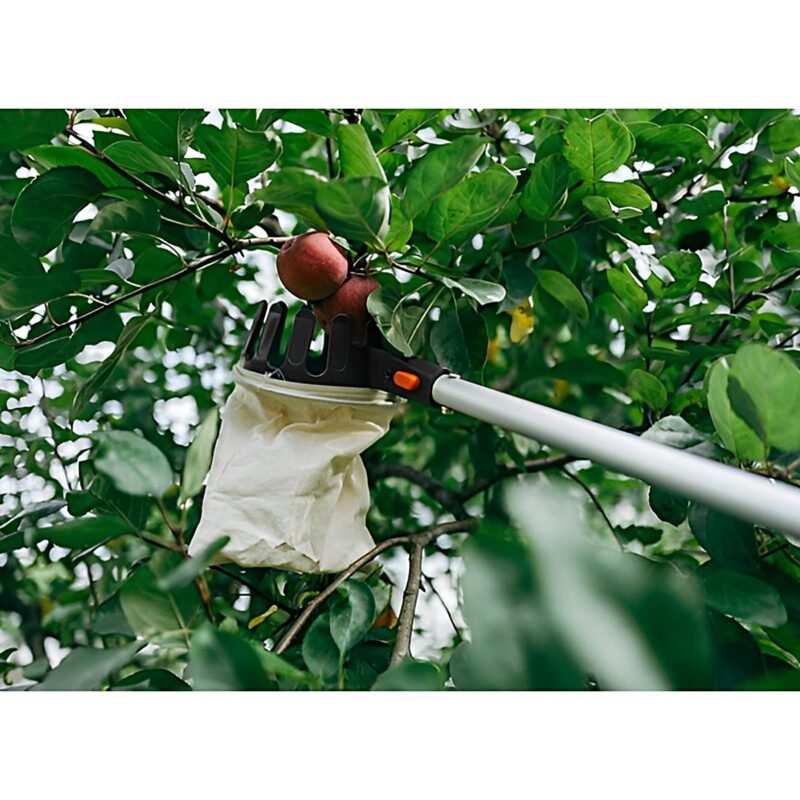 BRADAS FRUIT COLLECTOR TELESCOPIC HANDLE - Image 2