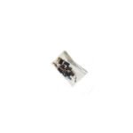 CARBON SET FOR OLIVE MACHINES (2PCS)