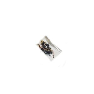 CARBON SET FOR OLIVE MACHINES (2PCS)