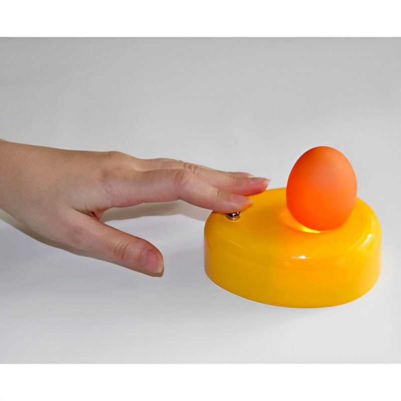 EGG CANDLER - Image 2