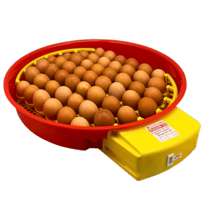 Egg Incubator PUISOR X2 - Automatic with display