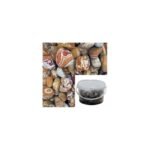 RAINBOW COLOUR PEBBLE 3-9mm 5lt