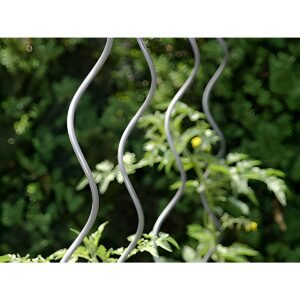 SPIRAL SUPPORTS