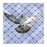 ANTI BIRD NET 600GSM 100TM WHITE
