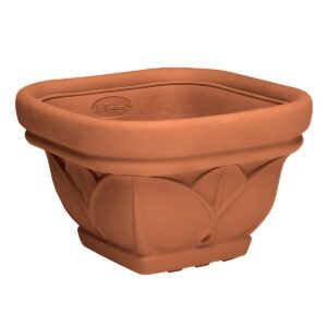 ΓΛΑΣΤΡΕΣ CIOTOLA QUARDA