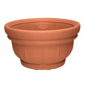 ΓΛΑΣΤΡΕΣ CIOTOLA TONDA