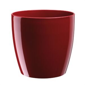 ΓΛΑΣΤΡΕΣ RIO RED 20X18