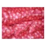 SACKS with NETTING (RED) 41 X 60CM