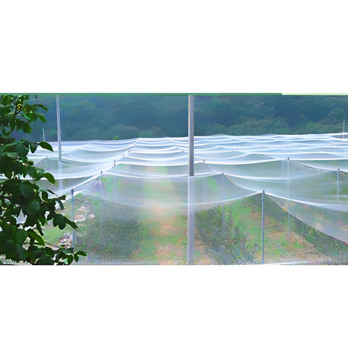 Anti-Bird Protection Net - Image 2