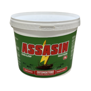 Assasin (1KG)