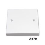 BLANK PLATE EUROPOWER 1G