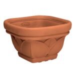 ΓΛΑΣΤΡΕΣ CIOTOLA QUARDA