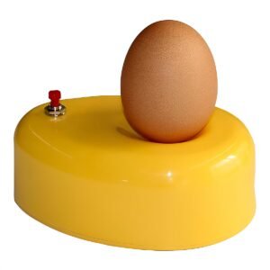 EGG CANDLER