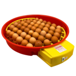 Egg Incubator PUISOR X2 - Automatic with display