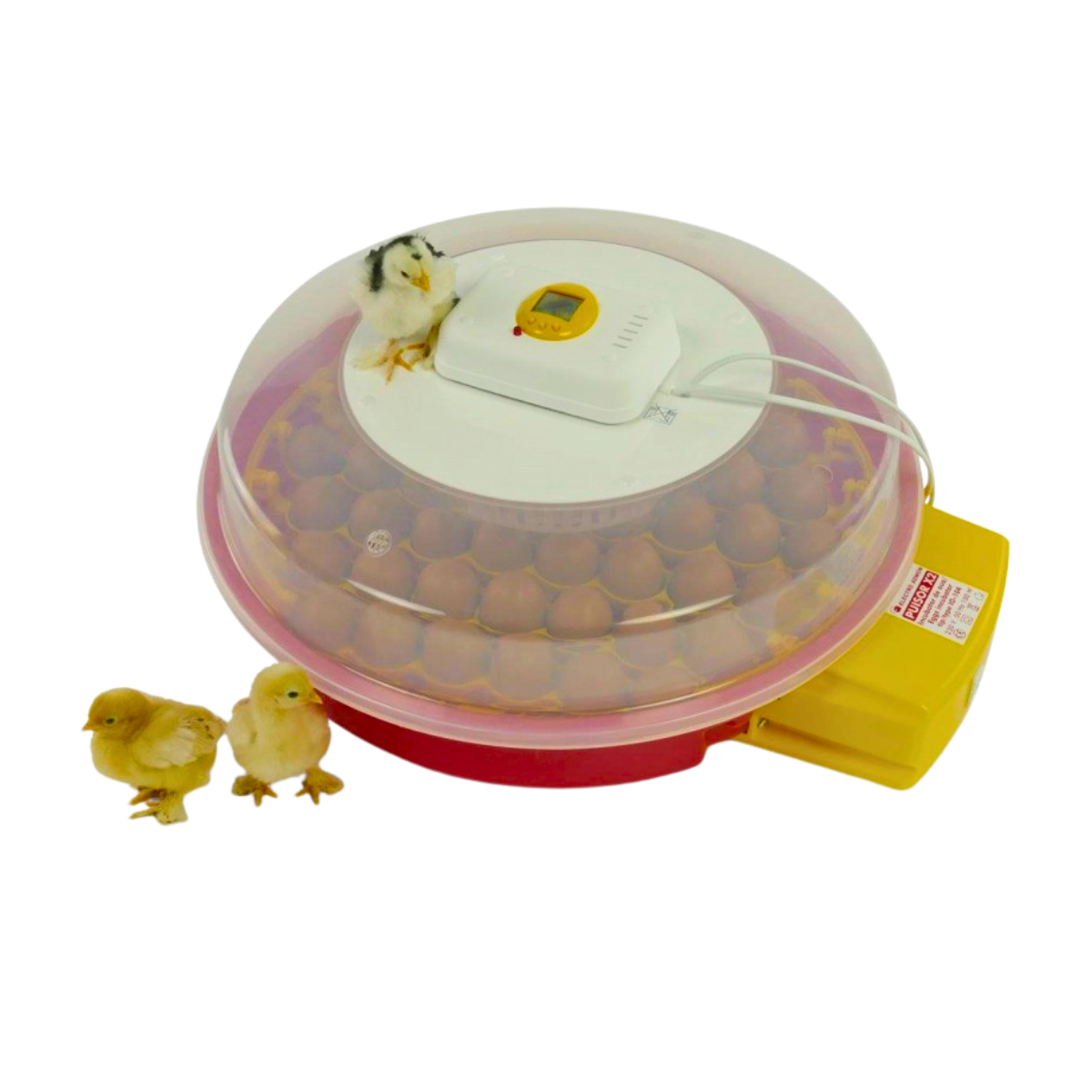 Egg Incubator PUISOR X2 - Automatic with display - Image 3