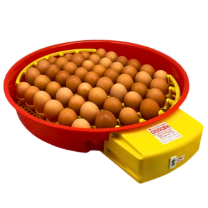 Egg Incubator PUISOR X2 - Automatic with display