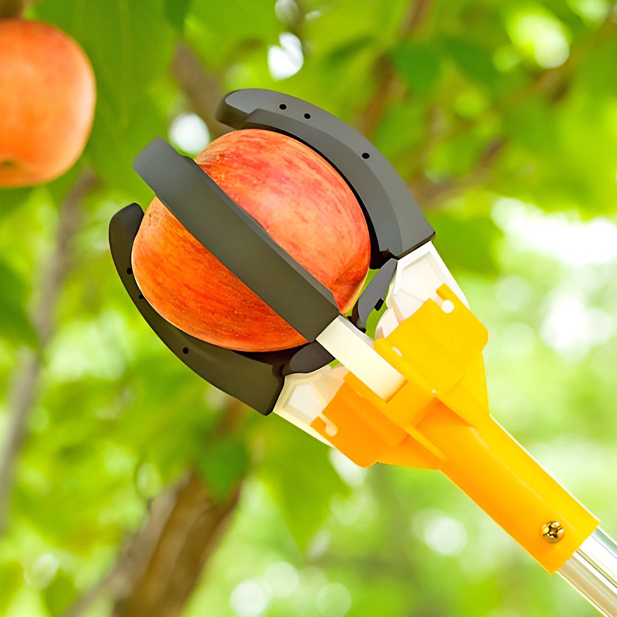 FRUIT PICKER 2.20M - Image 2