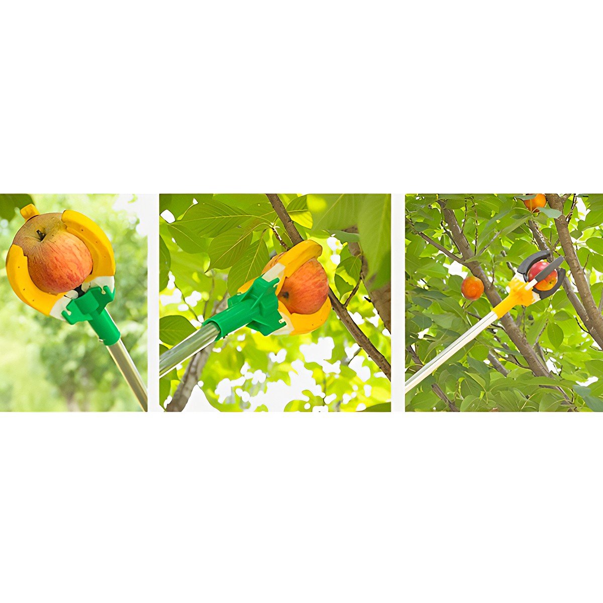 FRUIT PICKER 2.20M - Image 3