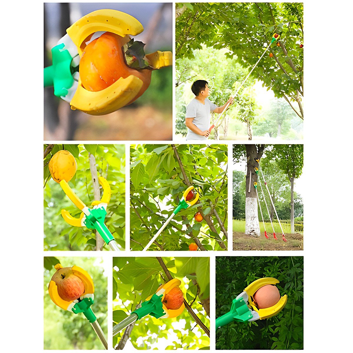 FRUIT PICKER 2.20M - Image 4