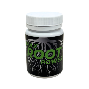 Max Root Powder (25GR)