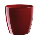 ΓΛΑΣΤΡΕΣ RIO RED 20X18